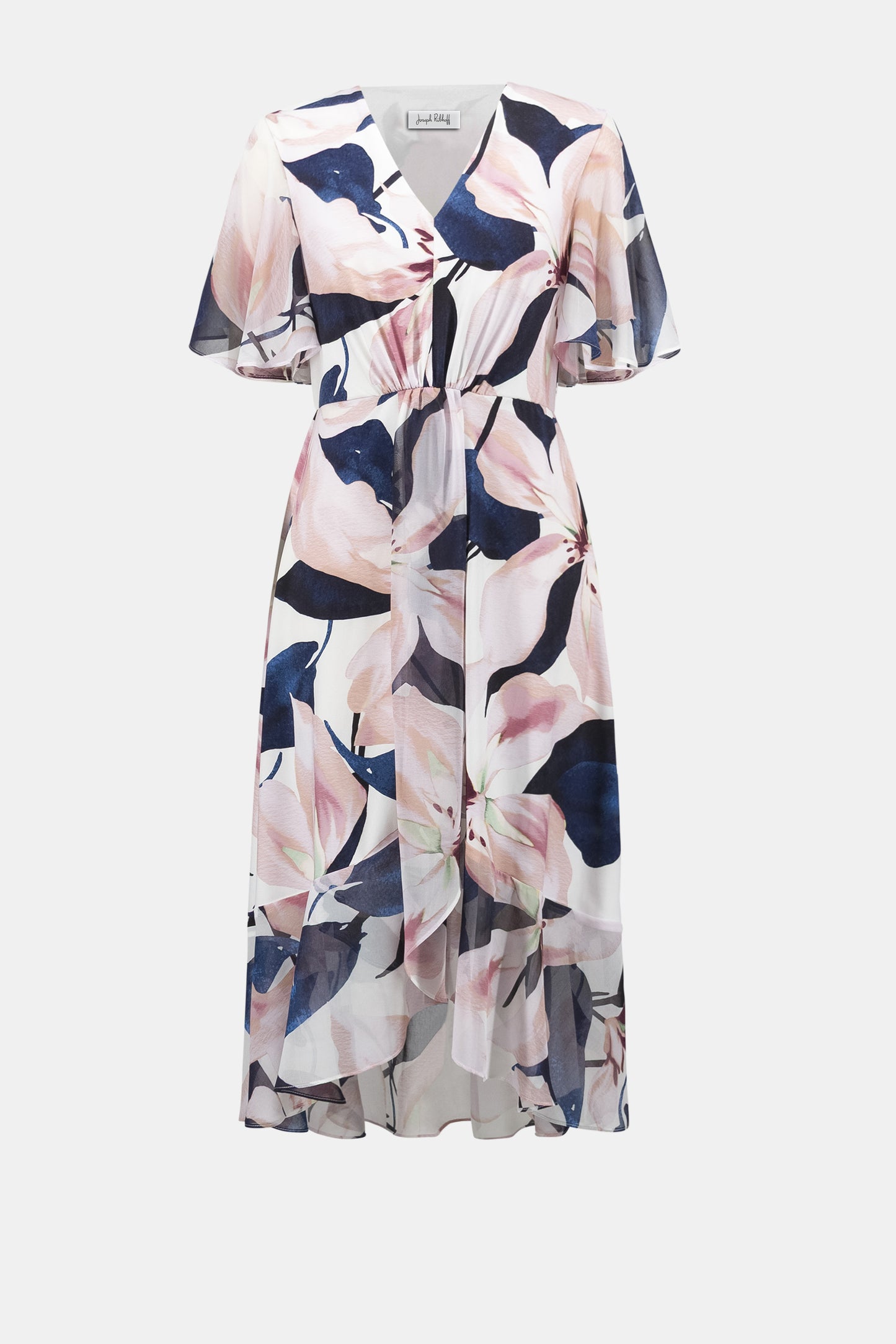 Chiffon Floral Print Fit & Flare Dress